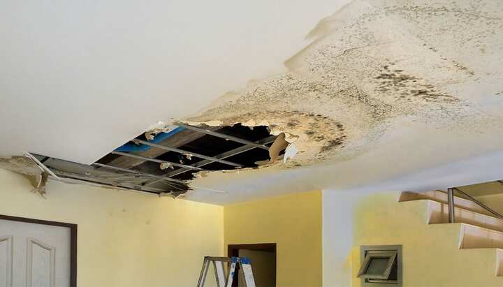 5 FAQs About Toxic Mold Exposure